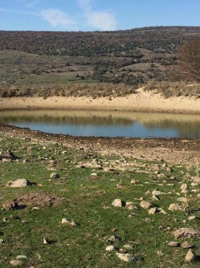 Tarımsal Sulama Göletlerinde Temizlik