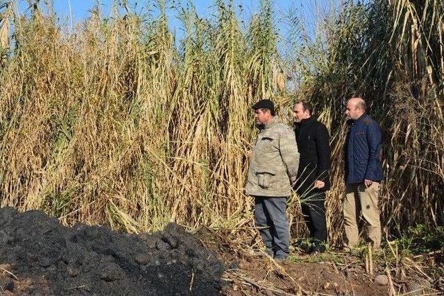 Üçpınar Deresi’nde Taşkınlar İçin Önlem Alınıyor 1