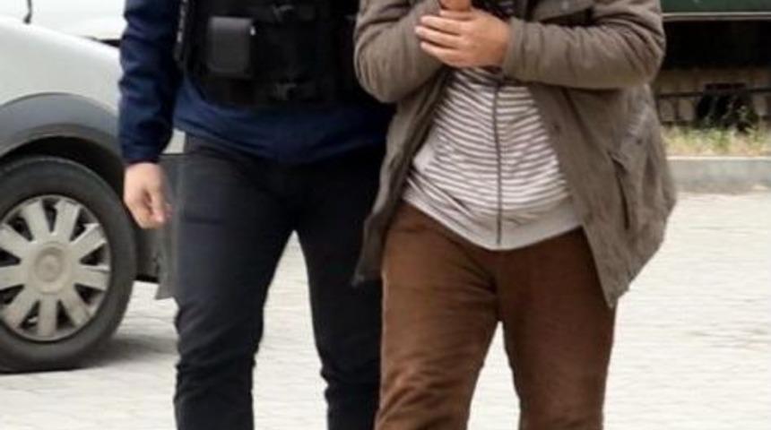 K&uuml;lodundan Bonzai &Ccedil;ıktı