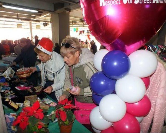 Tüylü Dostlar Için Noel Pazarı