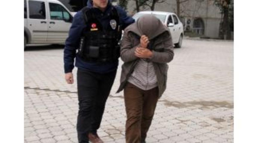 Makatından Bonzai Paketi &Ccedil;ıktı