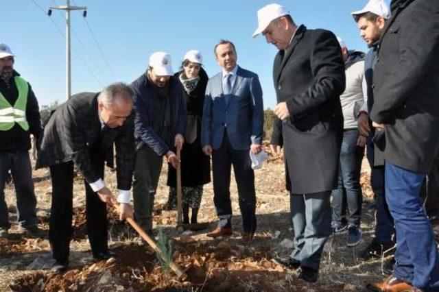 Didim'de Fidanlar Toprakla Buluştu