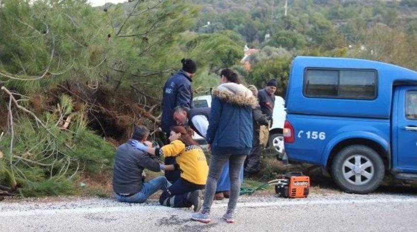 Aracı Ağa&ccedil;ların Arasına Saplandı, 2 Saat Kurtarılmayı Bekledi