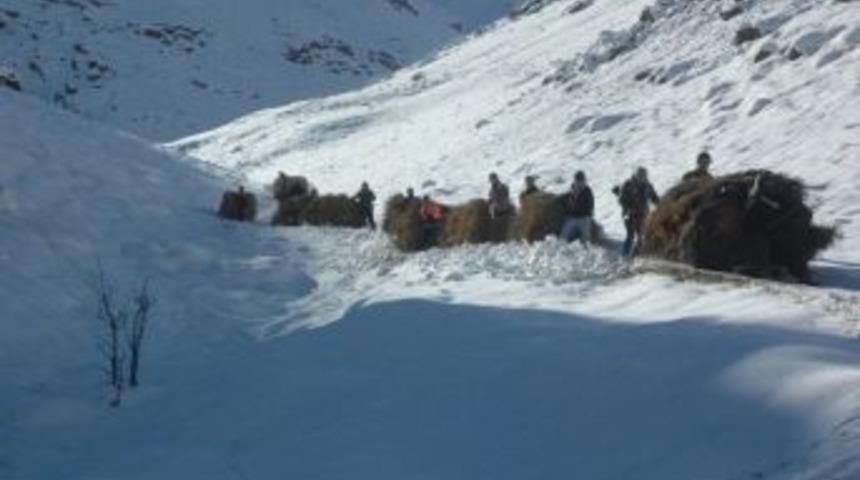 Hakkari&rsquo;nin Karlı Dağlarında Ot Taşıma &Ccedil;ilesi Başladı