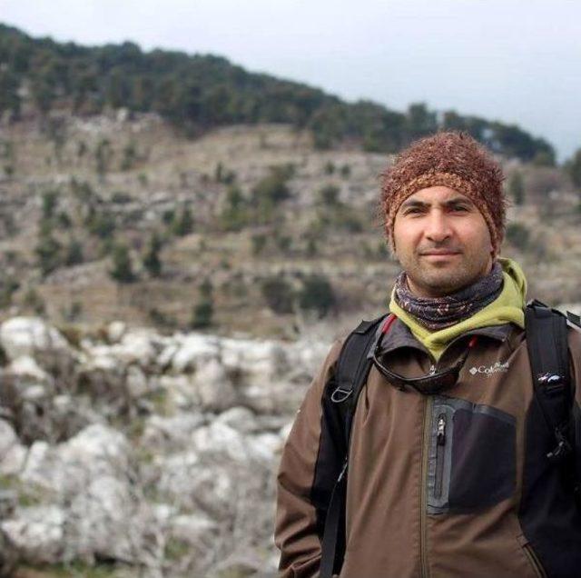 Kafkas K&ouml;kenli Saz Kedisi Mercek Altında 1