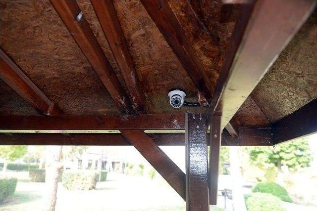 Antalya&rsquo;da Kedi &Ouml;l&uuml;mlerine Kameralı &Ouml;nlem 1