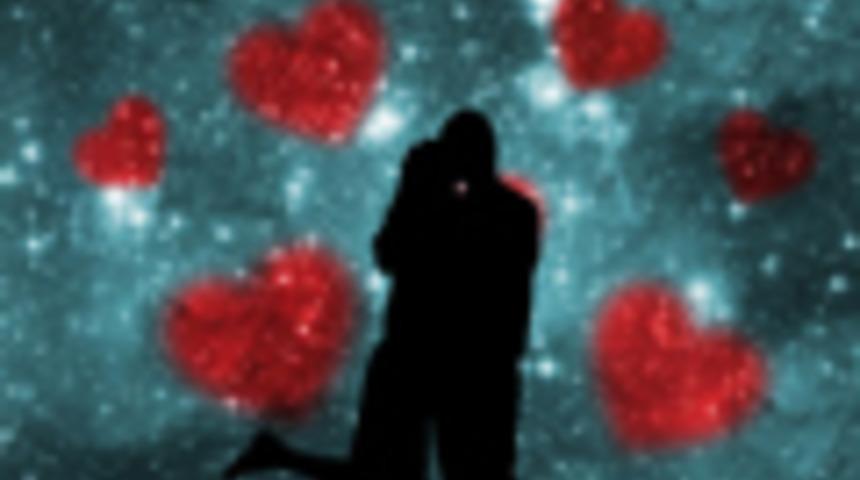 2014 Bur&ccedil;ların Aşk Dosyası