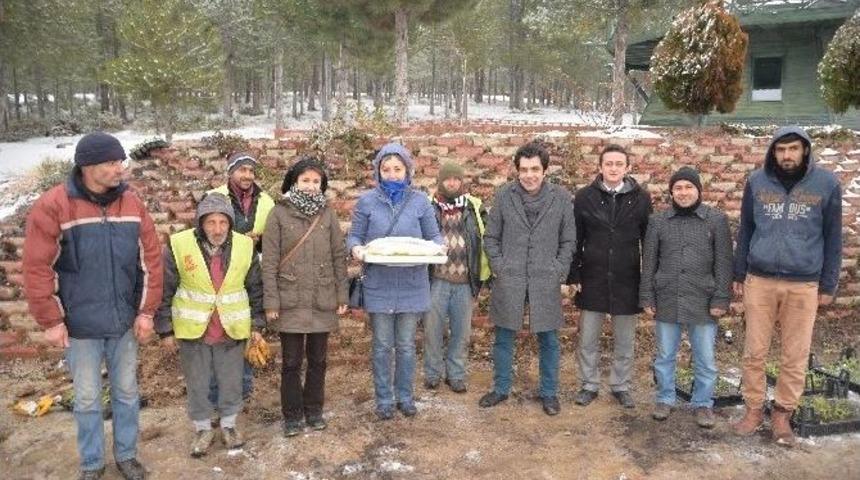 Tatlı Yiyelim, Tatlı &Ccedil;alışalım