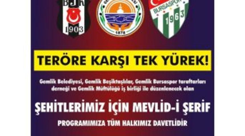 Gemlik Ter&ouml;re Karşı Tek Y&uuml;rek
