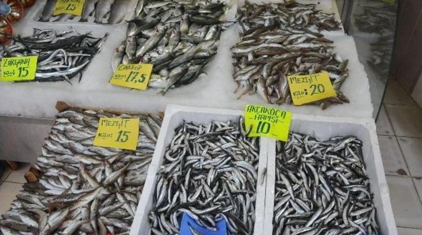 Kar Yağdı, Balık Fiyatlarında Artış Yaşandı