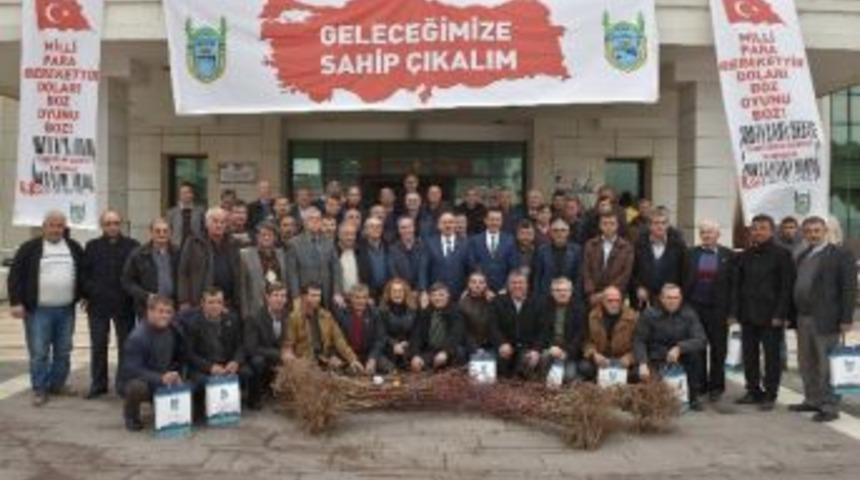 &Ccedil;ift&ccedil;ilere Badem Fidanı Dağıtıldı