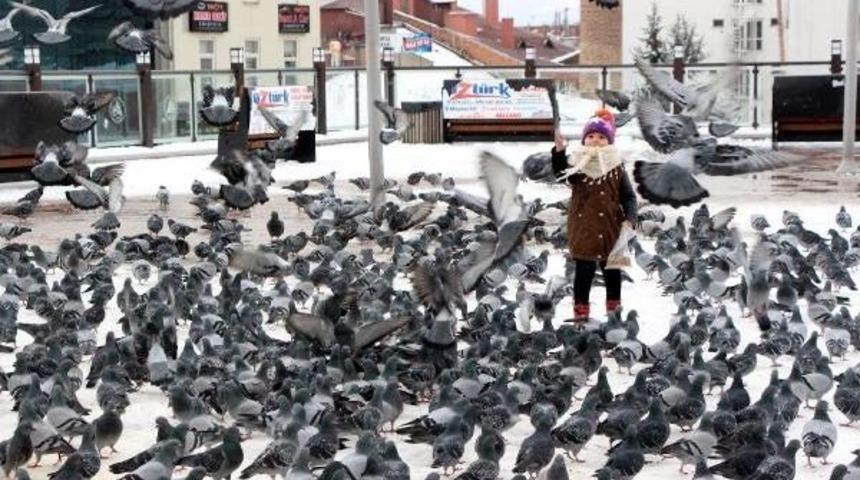 Karda Yiyecek Bulamayan Kuşlar I&ccedil;in 250 Ağaca Yemli Yuva