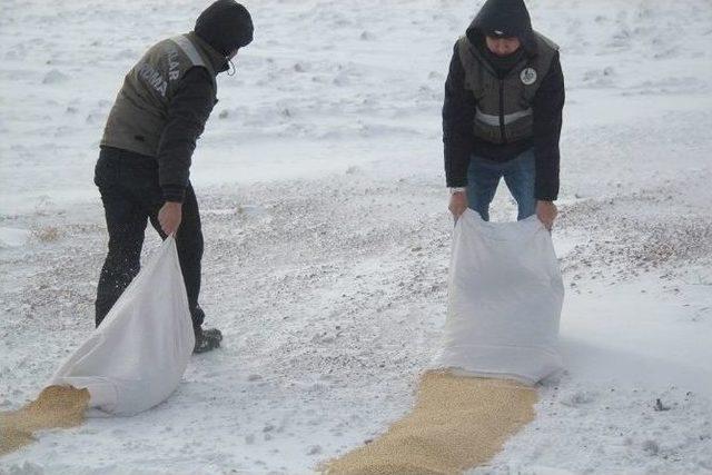 Karaman’da Yaban Hayvanlarına Yem Desteği