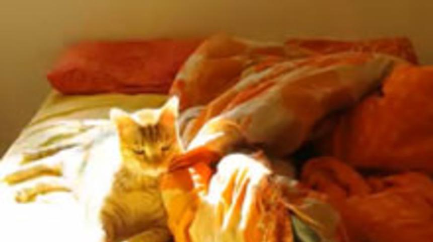 Yatakta Ne kadar Kalabilirsiniz?