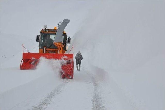 Özel İdare Ekiplerinden Yol Açma Çalışması