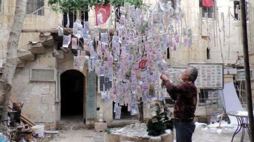 En Pahalı Ağa&ccedil;