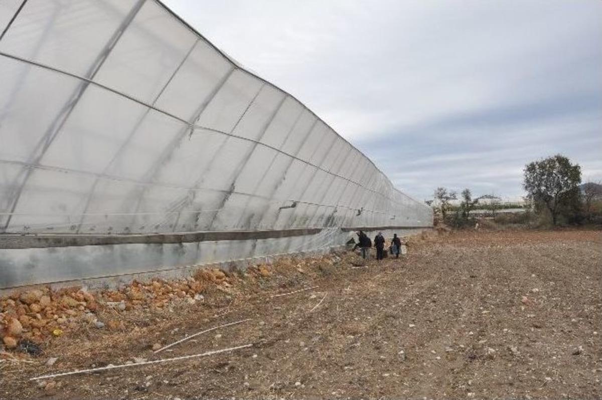 Antalyalı &Uuml;retici Yaralarını Sarmak İ&ccedil;in Devletten Destek Bekliyor