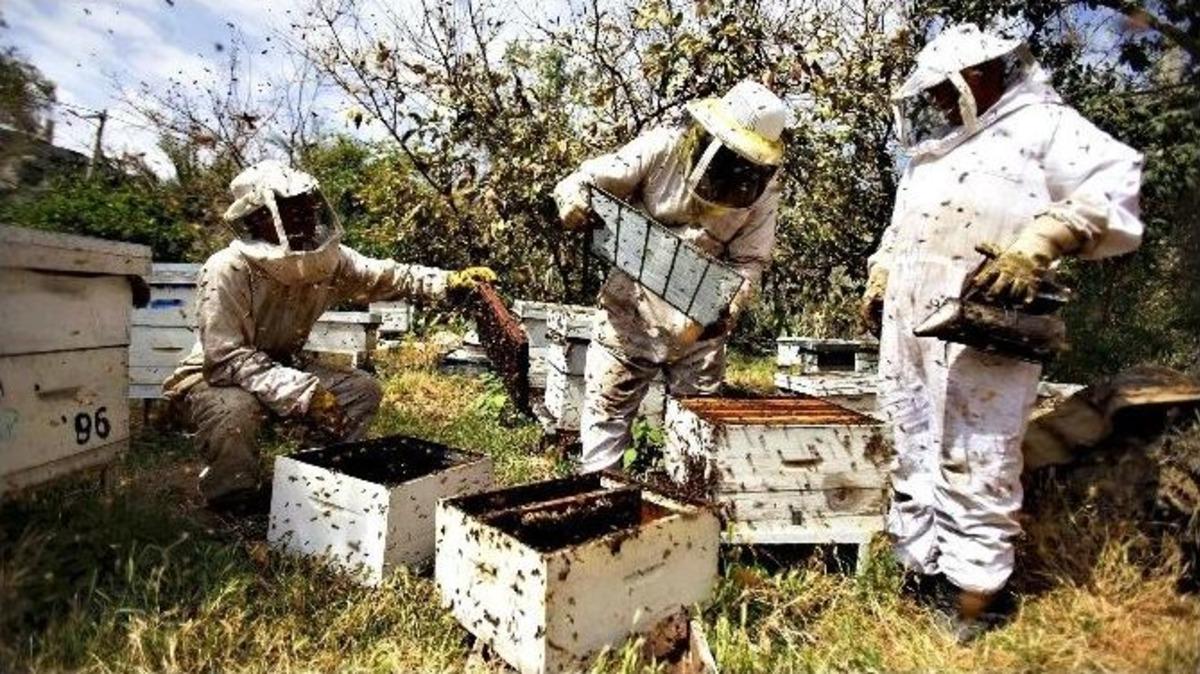 Karşıyaka&rsquo;dan &rsquo;bal&rsquo; Gibi Proje