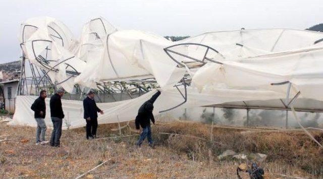 Gazipaşa'da Fırtınanın Zararı Ortaya Çıkıyor