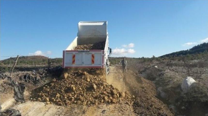 Fosil Ağa&ccedil; Alanının Yolları D&uuml;zenlendi
