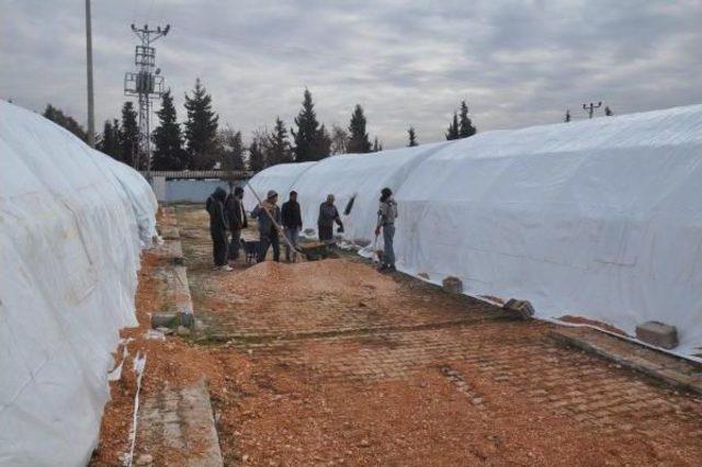 Halep’Ten Gelenler Için Türkiye'de De Kamp Kuruluyor