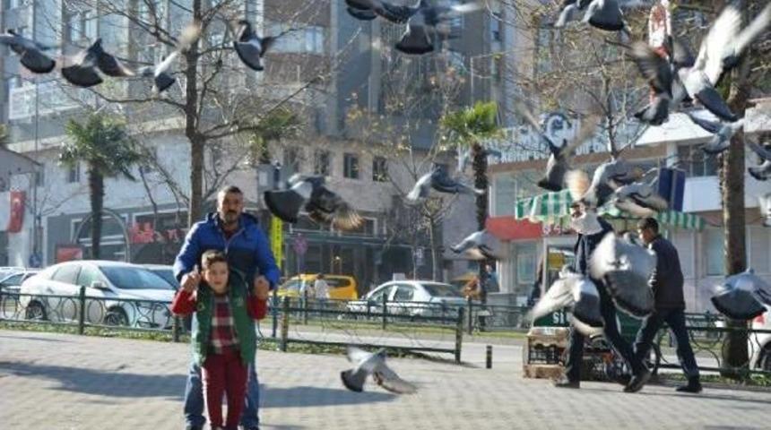 Berat'ın Tek Hayali Y&uuml;r&uuml;mek