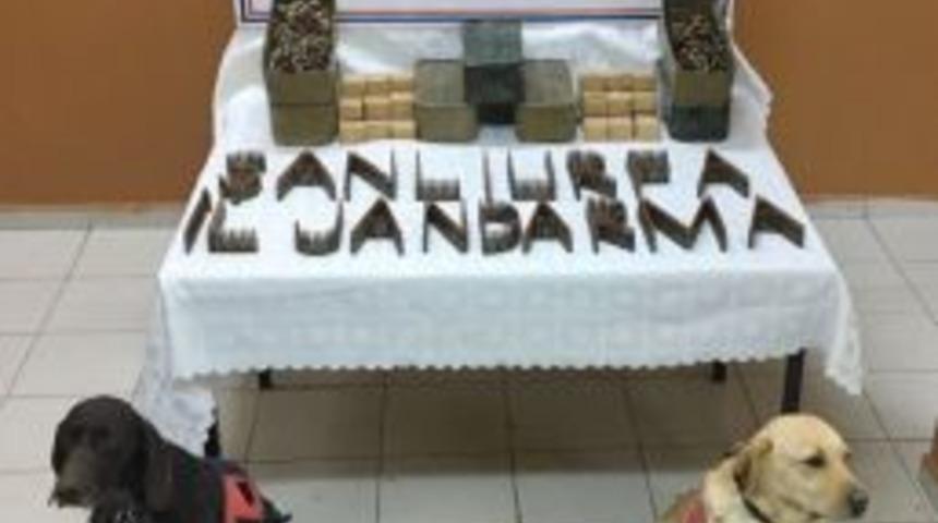 Şanlıurfa&rsquo;da 5 Bin 600 Adet Kalaşnikof Mermisi Ele Ge&ccedil;irildi