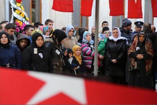 Ellerine Kına Yakarak Gönderdiği Şehit Olan Oğlu Için Ağladı