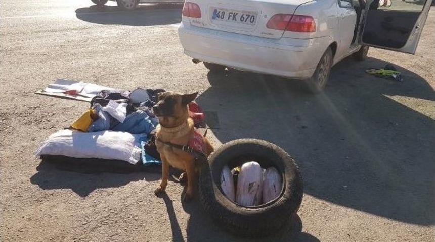 Sal&ccedil;alı Uyuşturucu Ka&ccedil;ak&ccedil;ılığına &rsquo;narkotik &Ccedil;ıtır&rsquo; Engeli