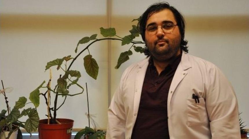 (&ouml;zel Haber) Organik Işık Yayan Bitkiler Sokakları Aydınlatacak