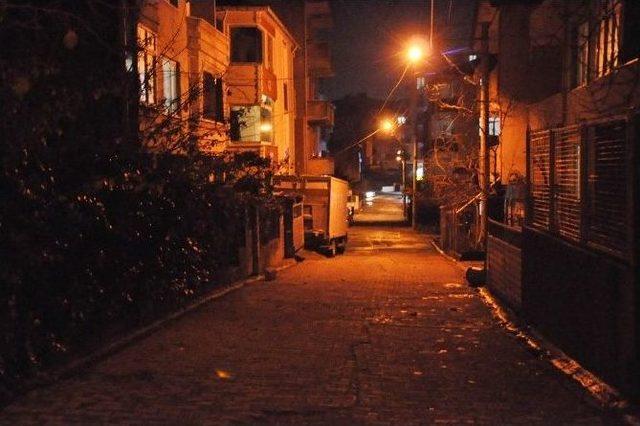 (&ouml;zel Haber) Organik Işık Yayan Bitkiler Sokakları Aydınlatacak 2