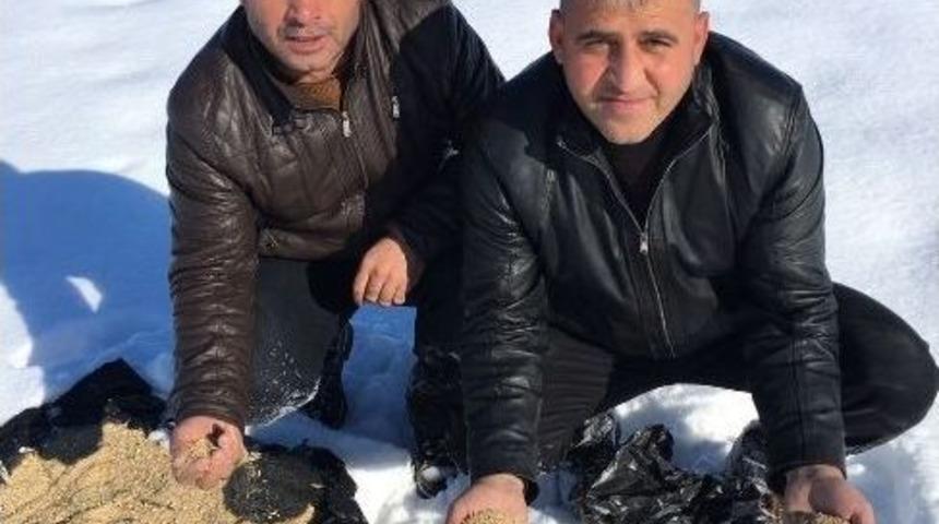 Malazgirt&rsquo;te Yaban Hayvanları İ&ccedil;in Doğaya Yem Bırakıldı