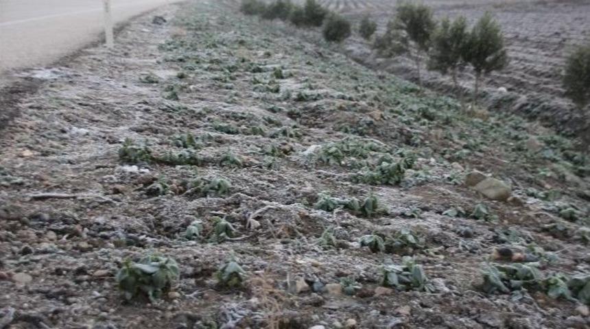 Don Tarım Alanlarını Vurdu