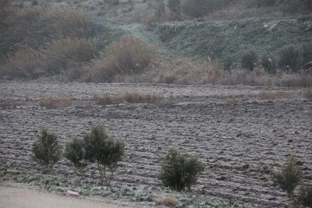 Don Tarım Alanlarını Vurdu 1