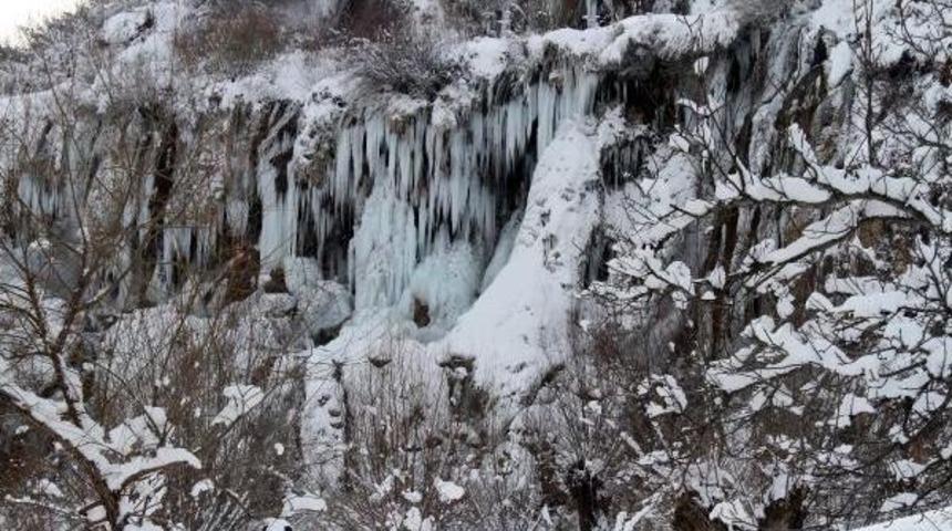 Sibirya Soğukları Şelaleyi Dondurdu