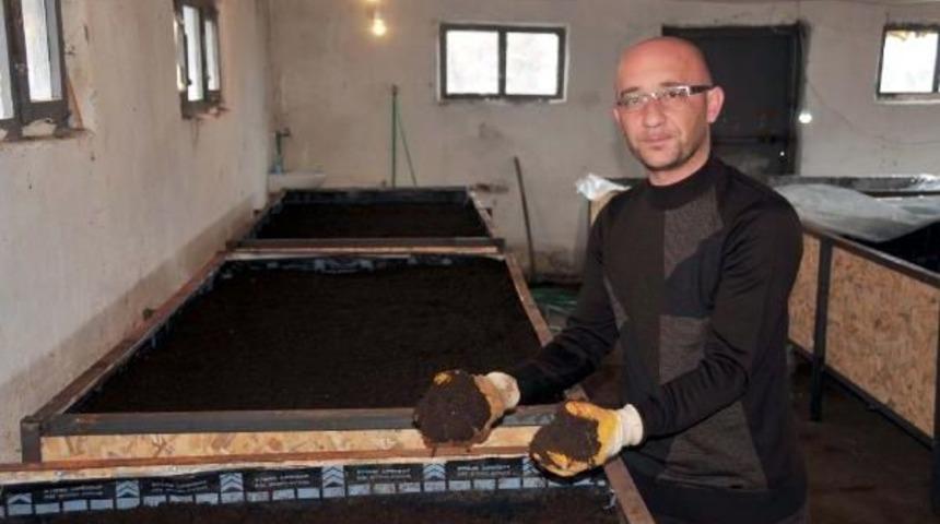 100 Bin Solucanla G&uuml;bre Işine Başladılar, Isteklere Yetişemiyorlar