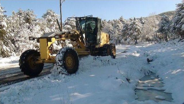 Kapanan Yayla Yolları Açıldı