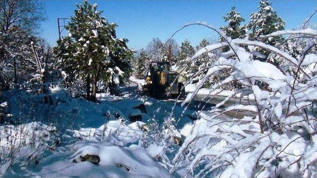 Kapanan Yayla Yolları Açıldı