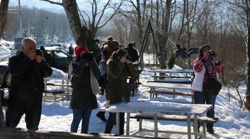 Fotoğraf Sanat&ccedil;ıları Ko-mek&rsquo;ten Yetişiyor
