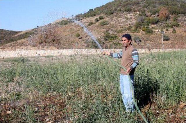 Gazipaşalı Üreticiler Güneş Enerjisine Yöneliyor