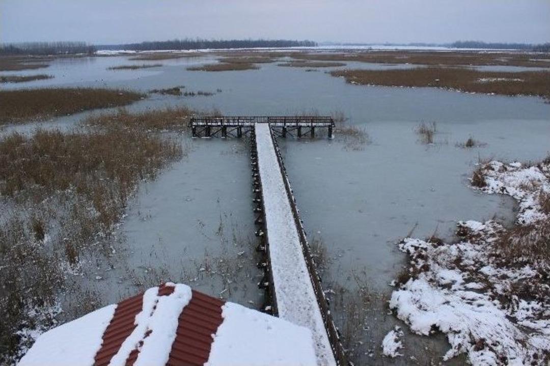 Efteni G&ouml;l&uuml; Buz Tuttu