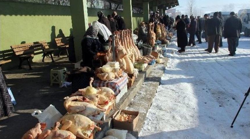 Eflani Hindileri G&ouml;r&uuml;c&uuml;ye &Ccedil;ıktı