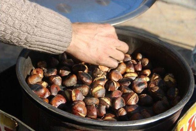 Kestane Yüksek Fiyatına Rağmen Rağbet Görüyor