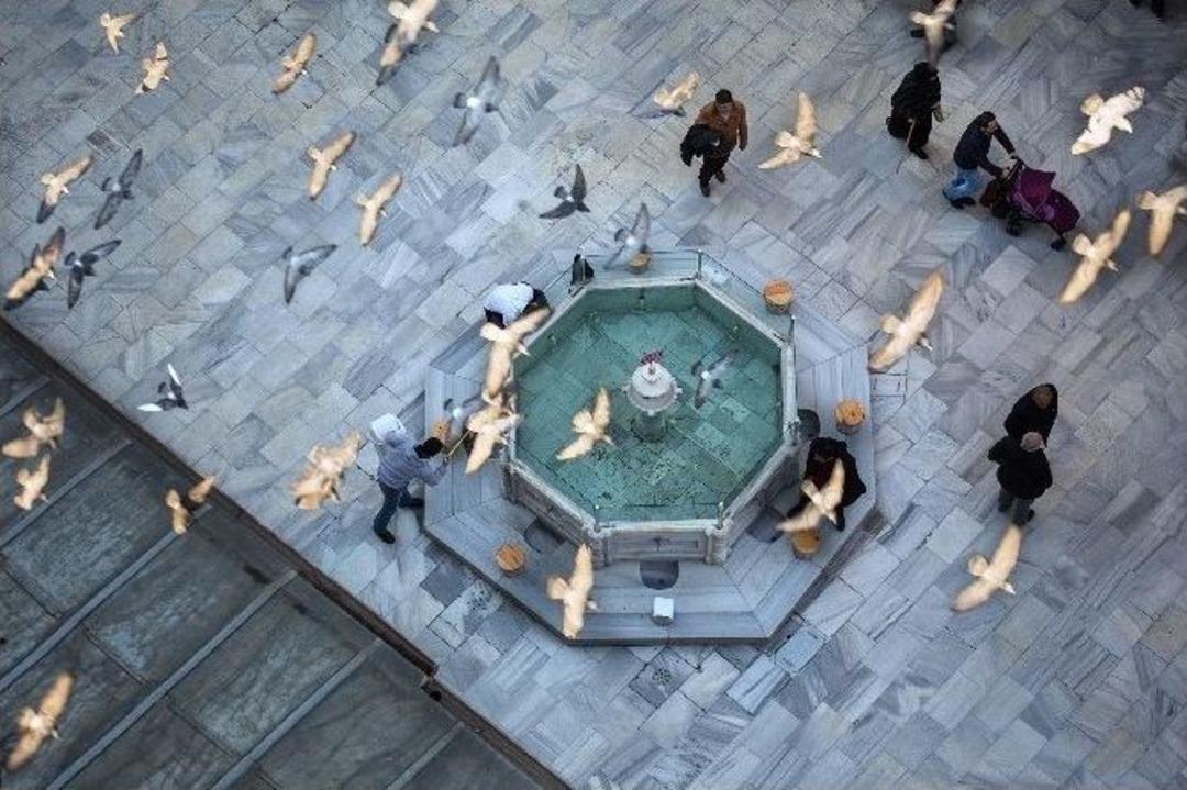 En G&uuml;zel Fotoğraflar &Ouml;d&uuml;llendirildi