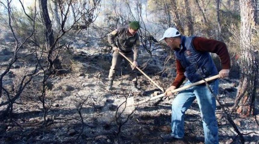 Kemer'de Orman Yangına Topyekun M&uuml;dahale