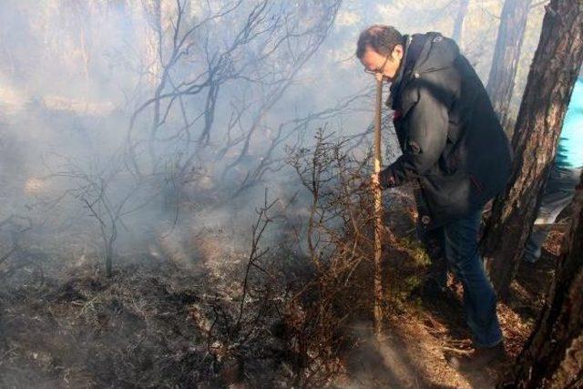 Kemer'de Orman Yangına Topyekun Müdahale