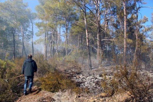 Kemer'de Orman Yangına Topyekun Müdahale