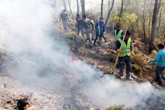 Kemer'de Orman Yangına Topyekun Müdahale