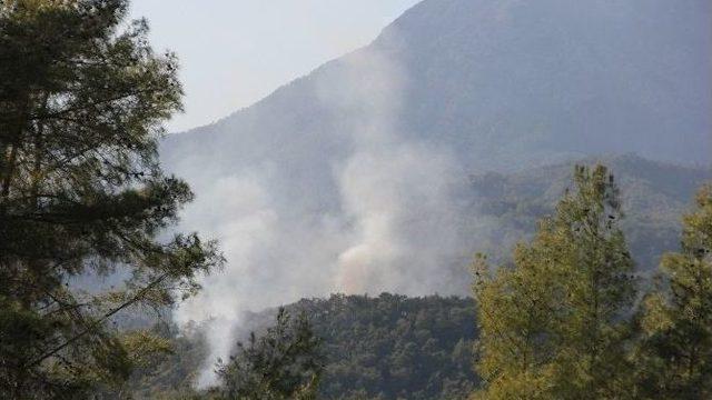 Kemer’de Orman Yangını