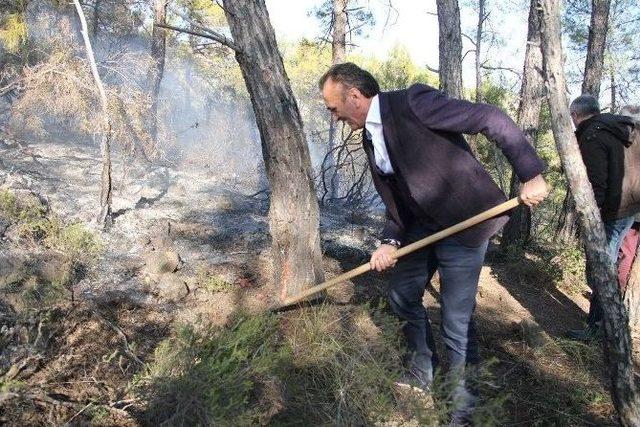 Kemer’de Orman Yangını